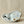 Tiger and Snake Dish