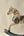 Rocking Horse