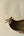 Brass Bird Serving Dish