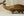 Brass Bird Serving Dish