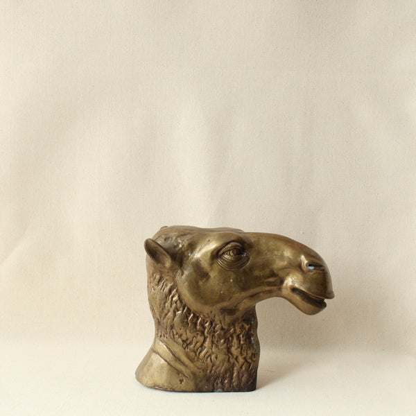 Brass Camel Head