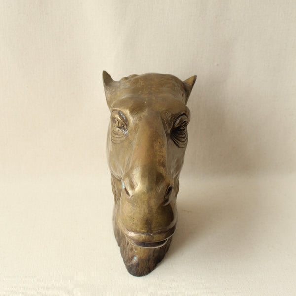 Brass Camel Head
