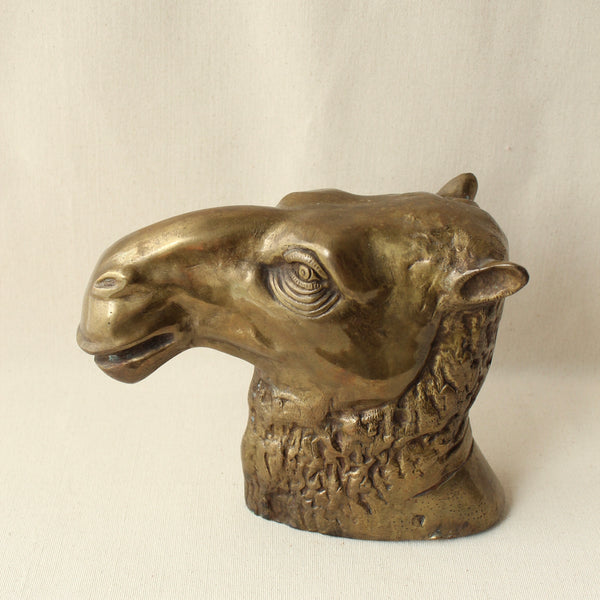 Brass Camel Head
