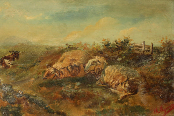 Pastoral Sheep - Original Oil Painting