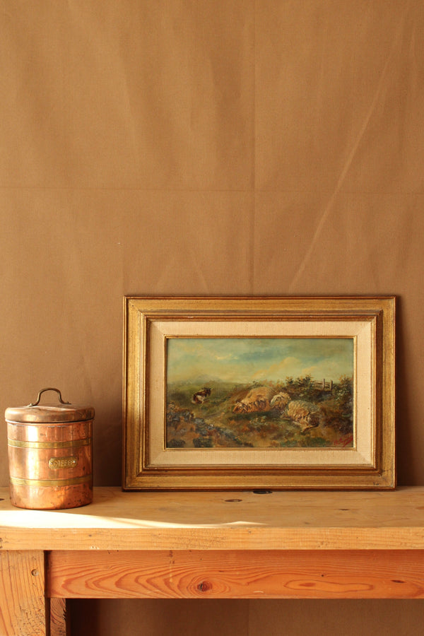 Pastoral Sheep - Original Oil Painting