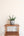 Sansevieria cylindrica 'Boncel' + Concrete Pot